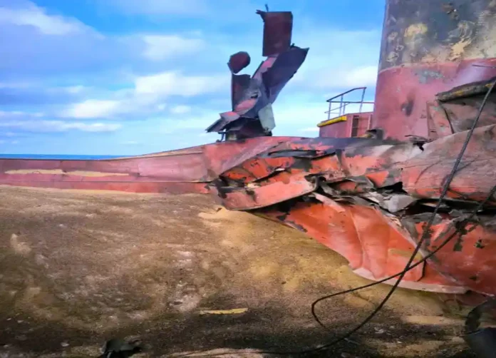 Ціни на пшеницю стрімко зросли на тлі російського зернового терору