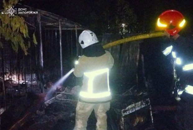 Загинуло багато тварин під час пожежі притулку в Запоріжжі