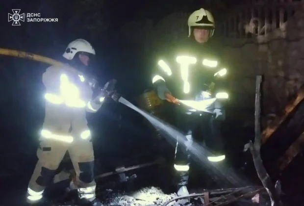 Загинуло багато тварин під час пожежі притулку в Запоріжжі