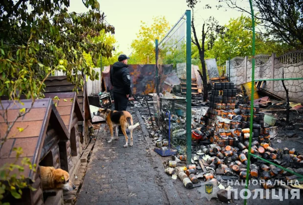Загинуло багато тварин під час пожежі притулку в Запоріжжі