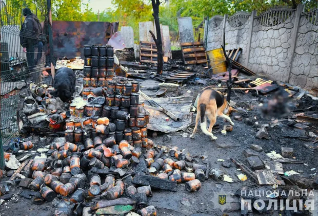 Загинуло багато тварин під час пожежі притулку в Запоріжжі