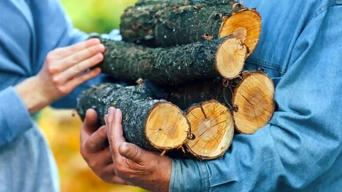 Дрова без документів: у владі зробили важливу заяву