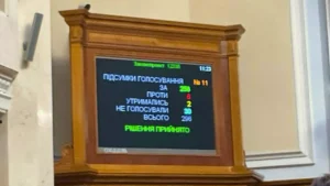 Бойка виключили з комітету з прав людини з другої спроби 