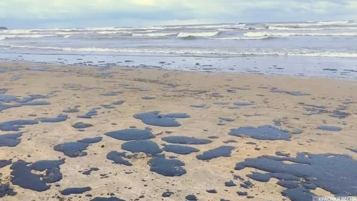 Аварія російських танкерів: пляма мазуту у Севастополі