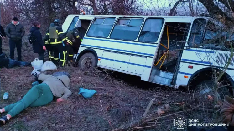 ДТП на Дніпропетровщині: автобус з пасажирами врізався у дерево