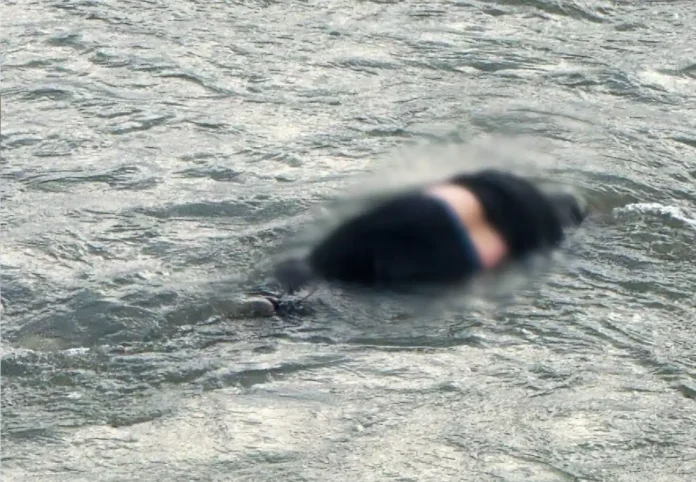 На Закарпатті у річці Тиса знайшли тіло людини