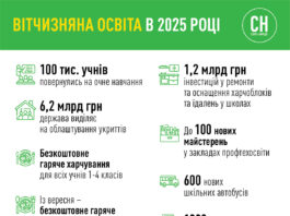 Інфографіка вітчизняна освіта у 2025 році