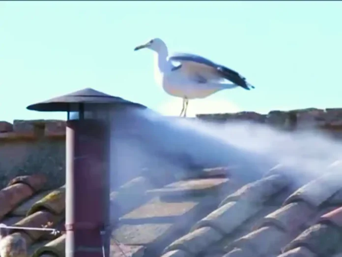 Білий дим у Ватикані: конклав обрав нового Папу Римського