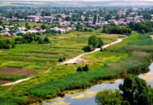 Ексслужбовицю з Луганщини засуджено до 10 років