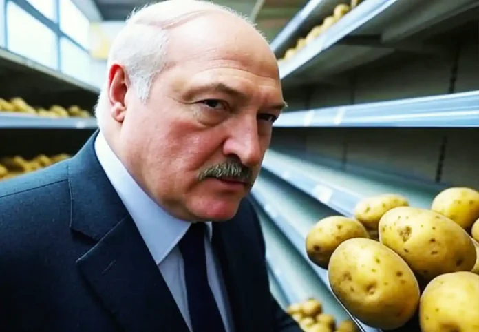 Без картоплі — буде штраф: Лукашенко оголосив війну магазинам