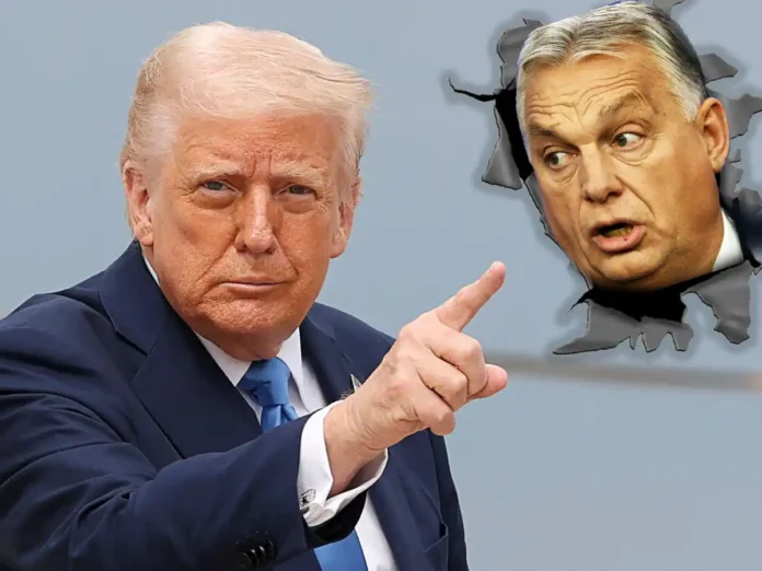 Трамп розповів про свого потужного радника щодо війни в Україні