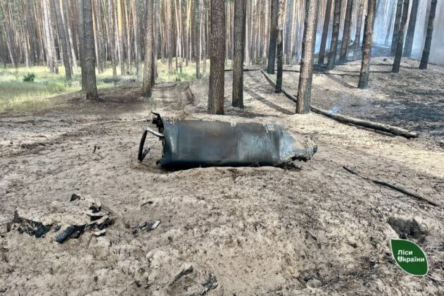 Пожежі після обстрілу пошкодили гектари лісів на Черкащині