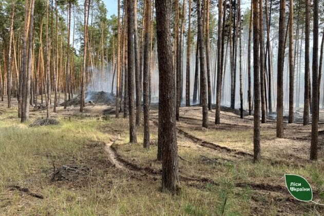 Пожежі після обстрілу пошкодили гектари лісів на Черкащині
