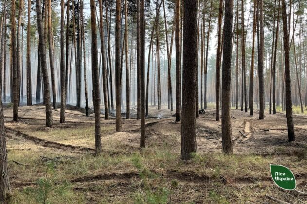 Пожежі після обстрілу пошкодили гектари лісів на Черкащині