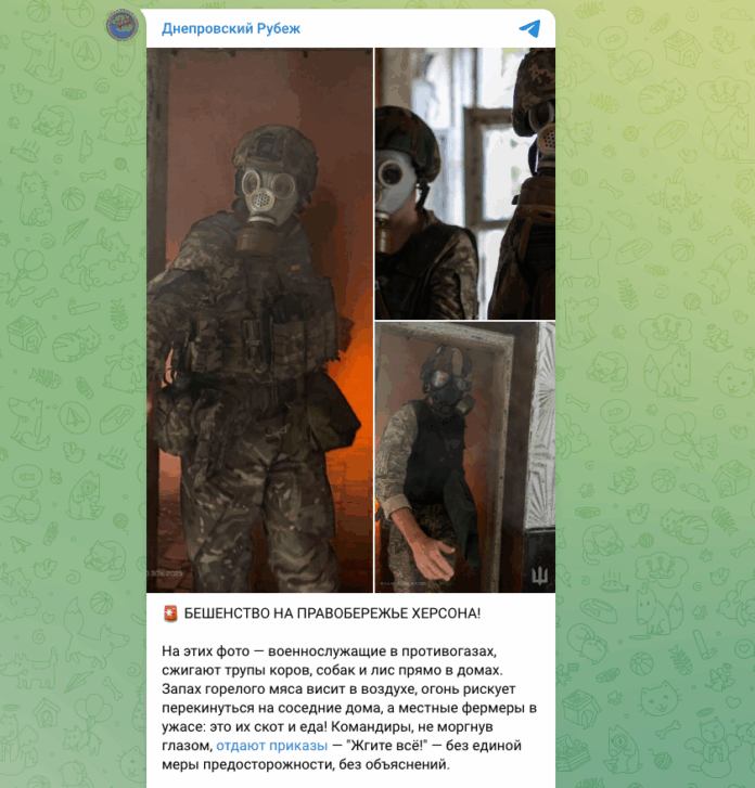 Фейк: Українські військові «спалюють заражених сказом тварин» у будинках жителів Херсонщини – фото