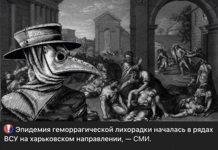 Маніпуляція: В українському війську лютує епідемія геморагічної гарячки