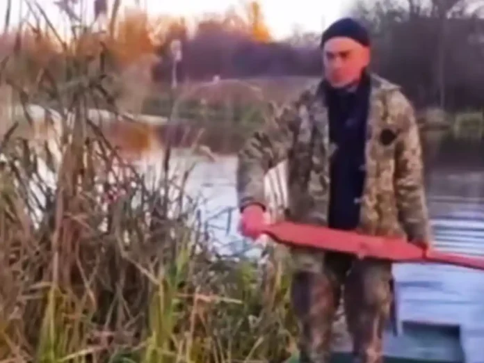 Чоловік жорстоко вбив вагітну кішку веслом на Житомирщині