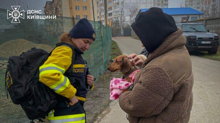 ДСНС показала наслідки атаки рф у Київській області
