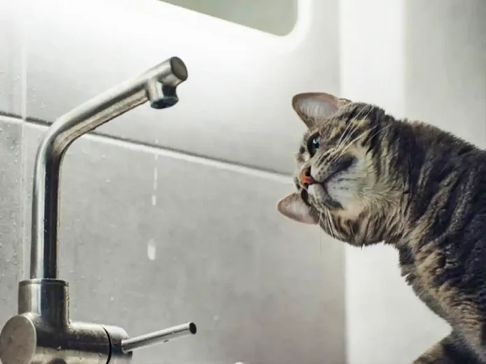 У Сумах через знеструмлення обмежили подачу води