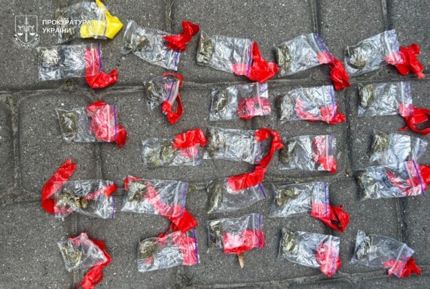 Мати використовувала доньку для розповсюдження наркотиків