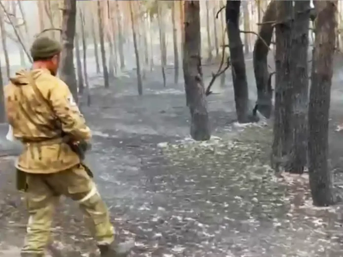 Посадовицю «уряду лнр» судитимуть за колабораційну діяльність