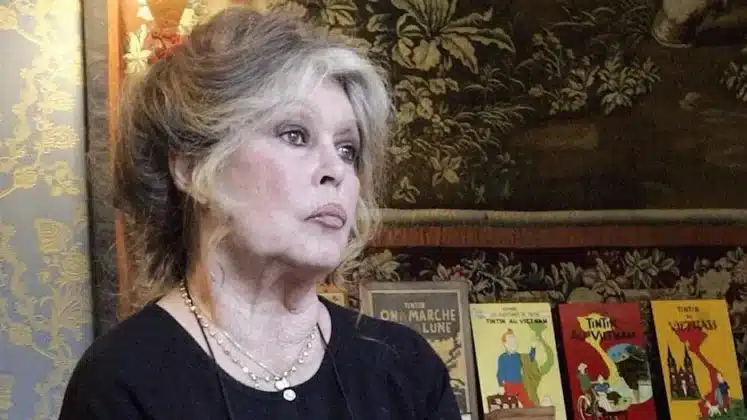 У Парижі на 92-му році життя померла Бріжіт Бардо 02