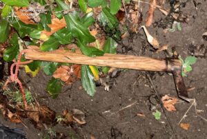 На Львівщині чоловік киркою чинив опір співробітникам ТЦК та СП