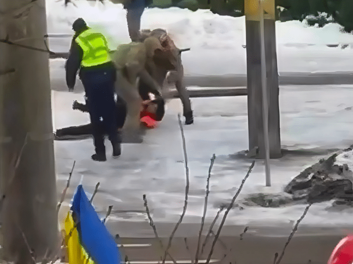 У Чернівцях працівники ТЦК вчинили стрілялину