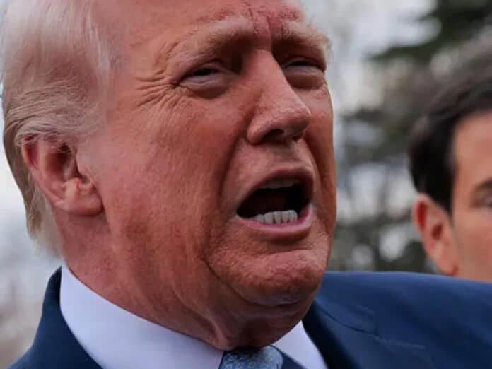 Трамп заявив, що довіряє путіну більше, ніж союзникам у Європі