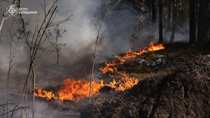 Пожежа в Чорнобилі: вогонь охопив понад 1100 гектарів лісу 05