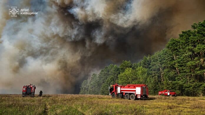 Пожежа на Чернігівщині: вогонь охопив 5800 гектарів лісу біля кордону