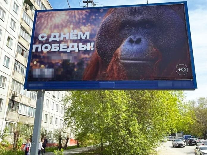 На росії з банера до «дня перемоги» вітає мавпа