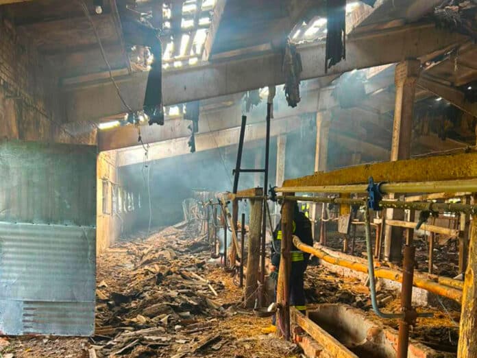 Безпілотник рф поцілив по фермі на Чернігівщині