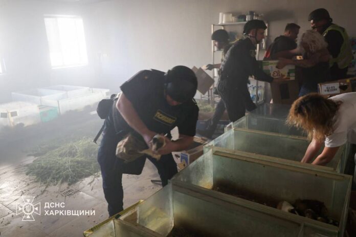 Обстріл Харкова: зафіксовано удар безпілотника по території зоопарку