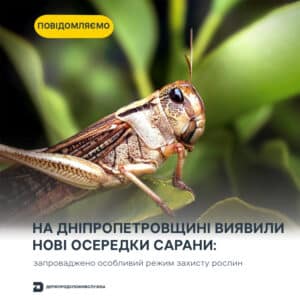 На Дніпропетровщині ввели особливий режим через перелітну сарану 01